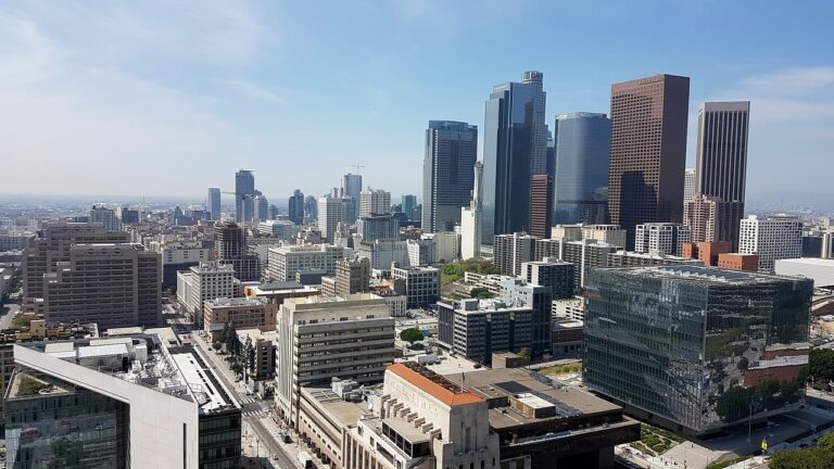 Los Angeles : un paradis pour les entreprises, conseils pratiques pour profiter de la ville.